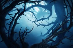 an eerie forest with dead trees in the foggy night, dark and spooky