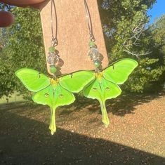 Beautiful Green Luna Moth Luna Dangle drop earrings with silver & Crystal beads for a sparkle look ! Luna Moth Accessories, Moth Luna, Earrings With Crystals, Luna Moth, Silver Crystal, Crystal Beads, Moth, Favorite Jewelry, Favorite Things