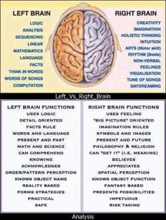 Left Vs Right Brain, Left Brain Right Brain, Brain Facts, Brain Anatomy, Brain Science, Right Brain, Medical Knowledge, Change Management, Medical Education