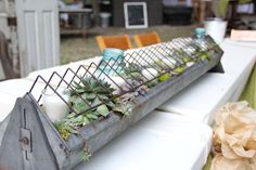 a metal tray with succulents and candles sitting on top of a table