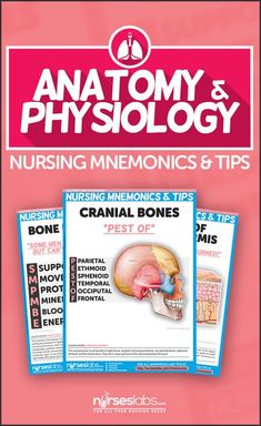 the anatomy and physoloy nursing manual is shown with three books on it