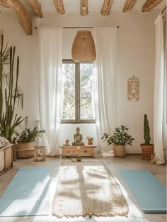 a room that has some plants on the floor and a rug in front of it