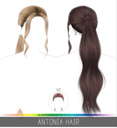 two ponytails with long hair on each side