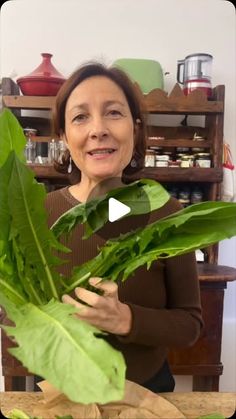 a woman holding up a large leafy plant