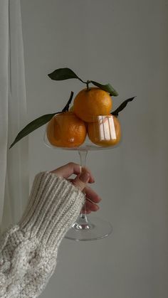 a person holding a wine glass with oranges on it