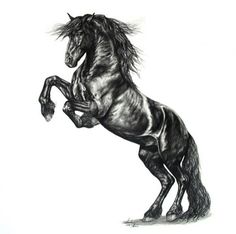 a black and white drawing of a horse with its rear legs in the air, it is