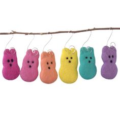 five different colored stuffed animals hanging from a line on a tree branch, each with its own face