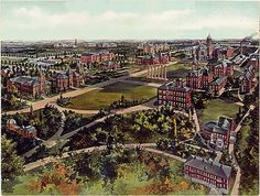 an aerial view of a city with lots of buildings and trees in the foreground