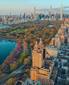 an aerial view of the central park in new york city, with trees and buildings surrounding it