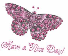 a pink butterfly with words have a nice day