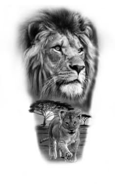 an image of a lion and its cub in black and white with the same background