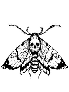 a black and white drawing of a moth with skull on it's back legs