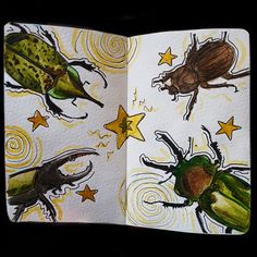 an open book with pictures of bugs and stars