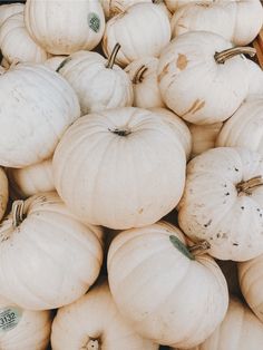 a pile of white pumpkins sitting next to each other