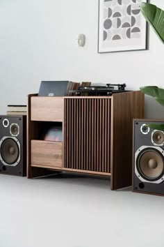 an old radio and speakers are on the floor in front of a potted plant