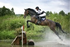 a person jumping a horse over an obstacle in the middle of a body of water