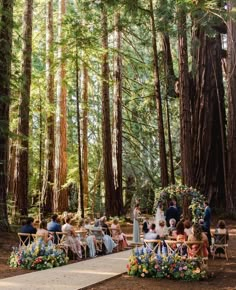 a wedding ceremony in the woods surrounded by tall trees