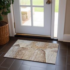 a door mat on the floor with a potted plant next to it in front of a white door