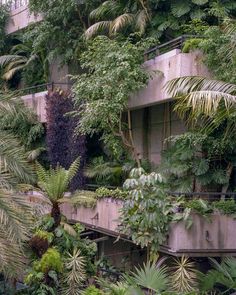 the building is surrounded by trees and plants