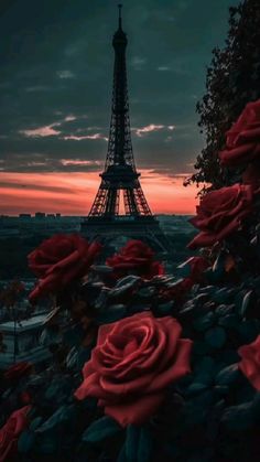 the eiffel tower is lit up with red roses in front of it at sunset