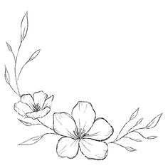 an ink drawing of two flowers on a white background, with leaves and stems in the foreground