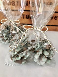 two bags filled with pine cones sitting on top of a table