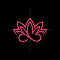 a pink lotus flower on a black background