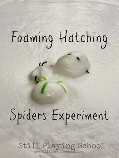 two white plastic balls with green leaves on them in the middle of foamy water that says foaming hatching spiders experiment