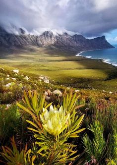 the mountains are covered in clouds and green plants near the water's edge, as seen from an overlook point