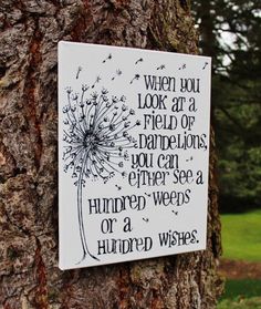 a sign on a tree that says when you look at a field of dandelions, you can either see a hundred weeds or a hundred wishes