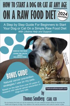 a dog and cat sitting next to each other with the words how to start a dog or cat at any age on a raw food diet