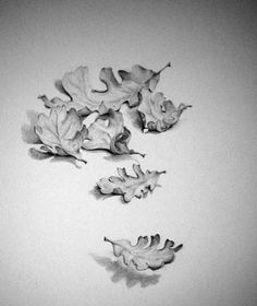 three leaves floating in the air on top of a white surface with one leaf falling off it