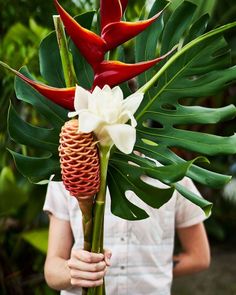 a woman holding a large flower in her hands