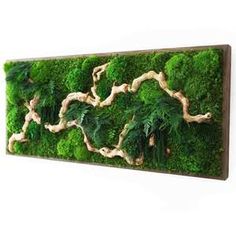 a moss covered wall hanging on the side of a building with trees and bushes in it