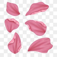 pink petals on a white background, with no image in the bottom right hand corner