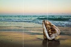 a seashell on the beach with waves coming in from the ocean and an equal image is being added