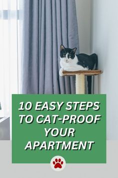 a black and white cat sitting on top of a scratching post with the words 10 easy steps to cat - proof your apartment