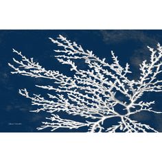 a large white tree with snow on it's branches in the dark blue sky