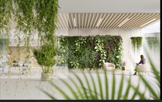 an office with plants growing on the wall and people sitting at desks in the background