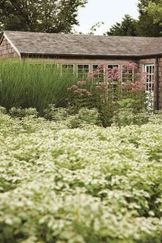 a small house surrounded by lush green plants