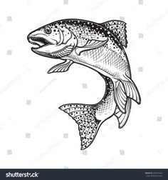 a fish jumping out of the water with its mouth open