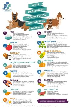 the health benefits of dogs are shown in this poster