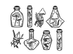 bottles filled with plants and mushrooms on top of a white background, in black and white