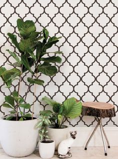 a potted plant sitting on top of a wooden table next to a white wall