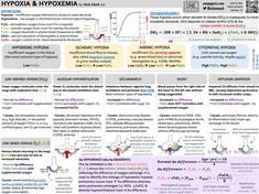 the hypopia and typoxima poster shows different types of phosyn