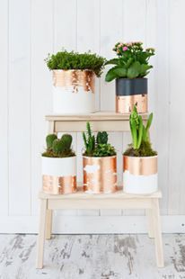 three tiered plant stand with succulents and plants