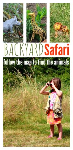 Summer Outdoor Games, Animal Lessons, Map Activities, Outdoor Games For Kids, Safari Party, Safari Theme, Backyard Fun, Outdoor Games, Flash Cards