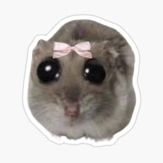 a hamster with a pink bow on it's head looking at the camera