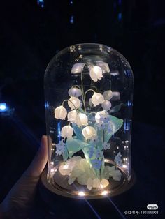 a glass dome with flowers in it and some lights on the inside is lit up at night