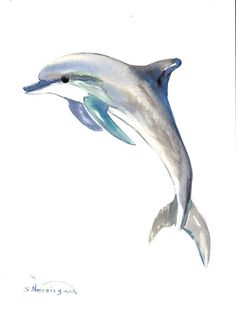 a watercolor painting of a dolphin jumping in the air with it's mouth open